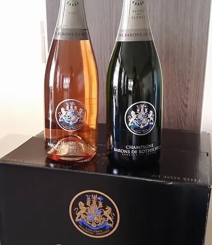 Juliana 3* 法尔肯堡